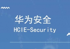 A鰲ȫHCIE-SecurityӖ(xn)