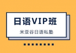 ZVIP