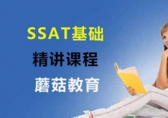 SSATAv