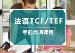 ZTCF/TEFǰӖn