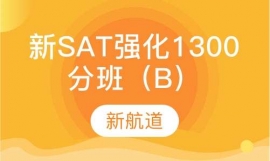 SAT1300ְࣨB