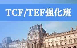 ϺTCF/TEF-Zn