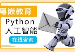 Python˹