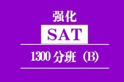 ȪSAT1300Ӗ(xn)ࣨB