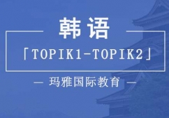 ɶnZTOPIK1-TOPIK2Ӗ(xn)n