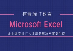 MicrosoftExcelЧ̄(w)(yng)Ӗ(xn)