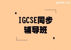 IGCSEͬo