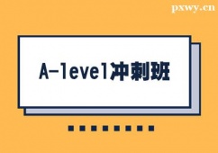 ͨA-level_Ӗ(xn)