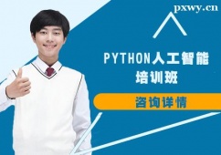 ʯfPython˹Ӗ(xn)