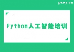 ɽPython˹Ӗ(xn)