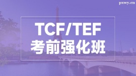 TCF/TEFǰ